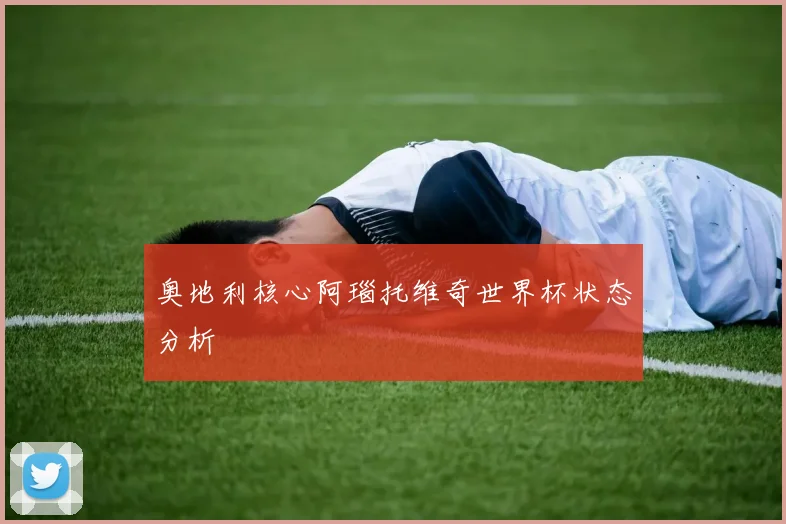 奥地利核心阿瑙托维奇世界杯状态分析