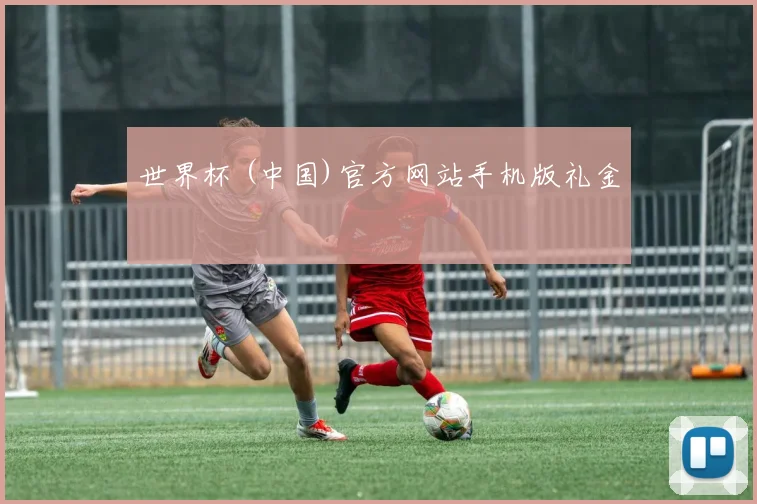 世界杯 (中国)官方网站手机版礼金