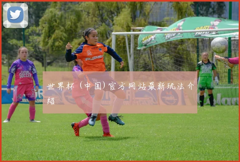 世界杯 (中国)官方网站最新玩法介绍