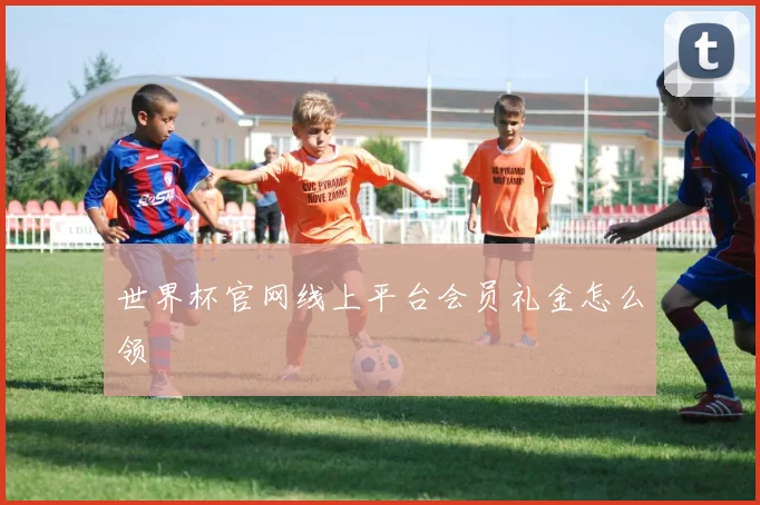 世界杯官网线上平台会员礼金怎么领