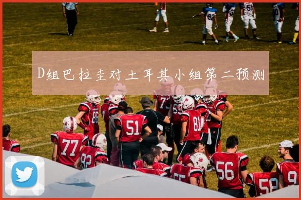 D组巴拉圭对土耳其小组第二预测