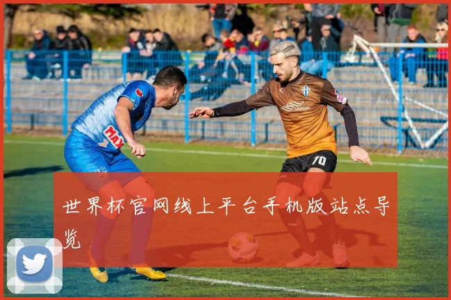 世界杯官网线上平台手机版站点导览
