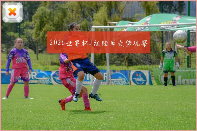 2026世界杯J组赔率走势观察