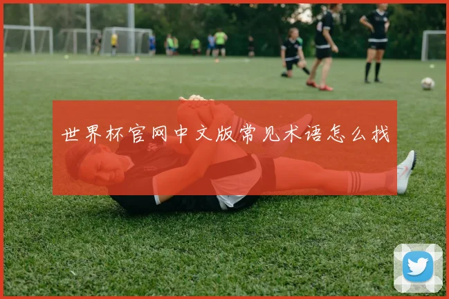 世界杯官网中文版常见术语怎么找