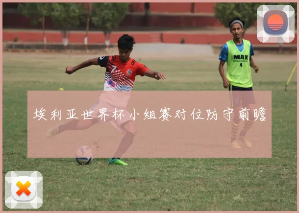 埃利亚世界杯小组赛对位防守前瞻